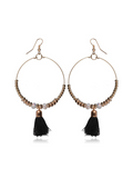 Single Tassel Black Earrings